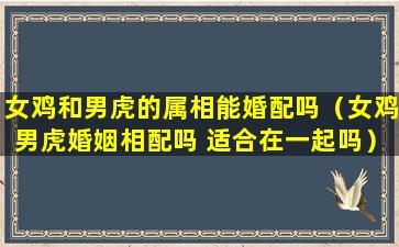 女鸡和男虎的属相能婚配吗（女鸡男虎婚姻相配吗 适合在一起吗）